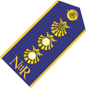 Tenente Coronel